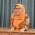Fia Fridayanti Adam